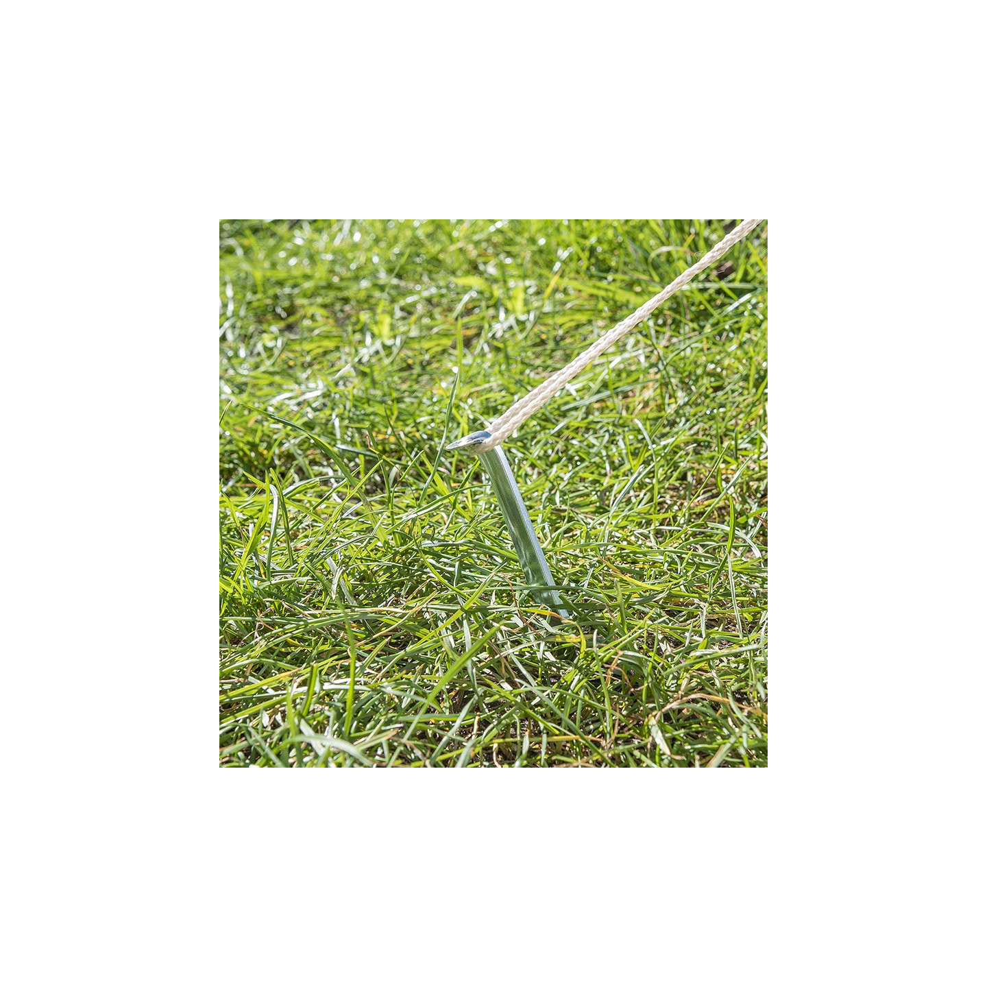 ProPlus - Half-round metal tent peg 30 cm - set of 10